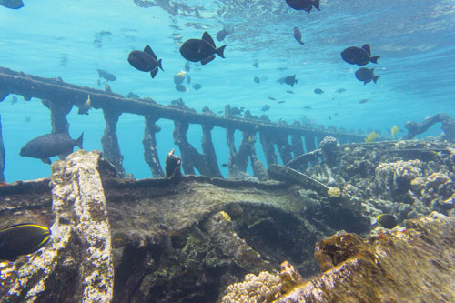 cocos keeling island photo tour example 10